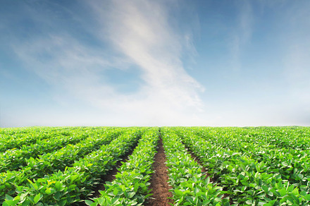 Agricultural landscape as a background stock photo containing agricultural, an Industrial Photo by Landscape and travel