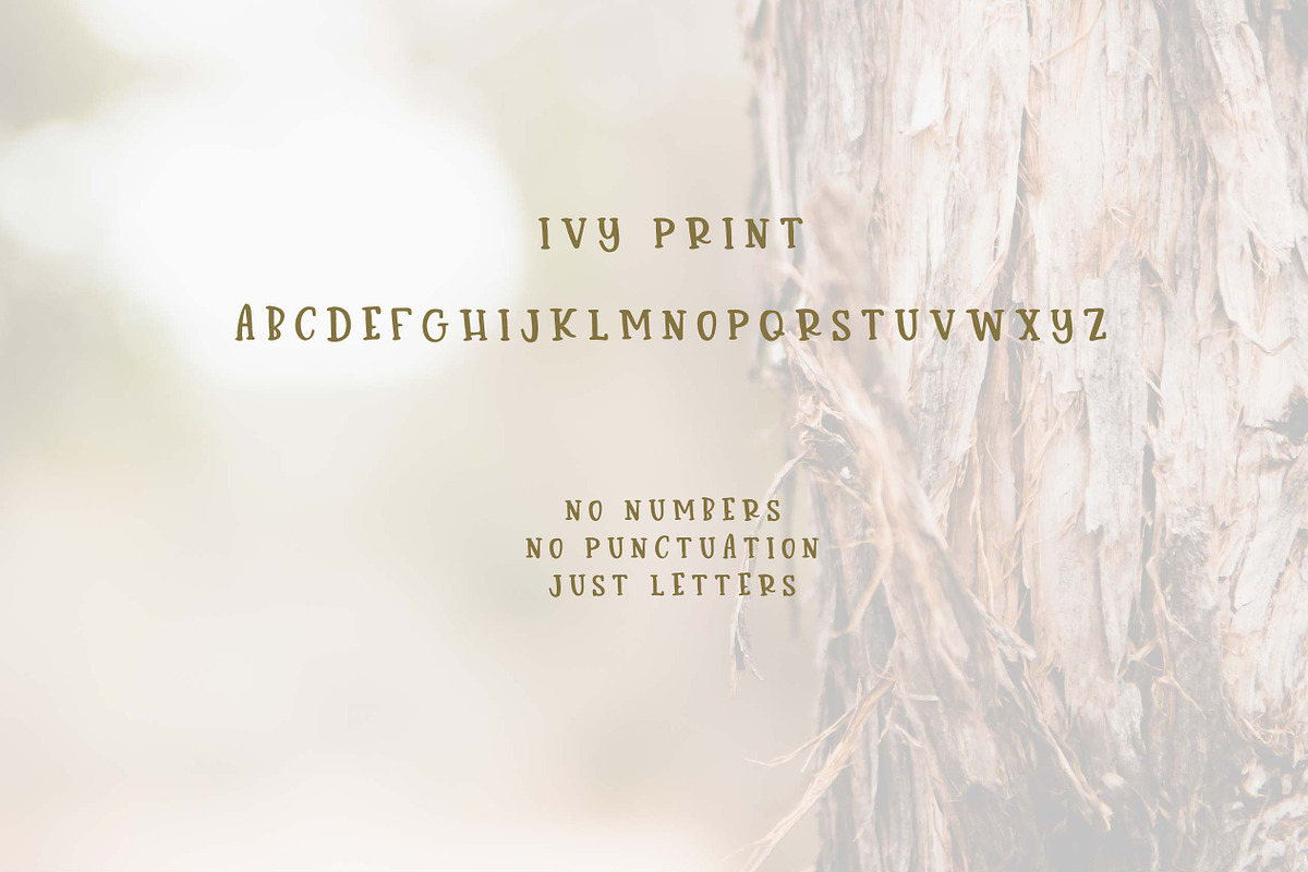 Juniper + Ivy Font Duo preview 4