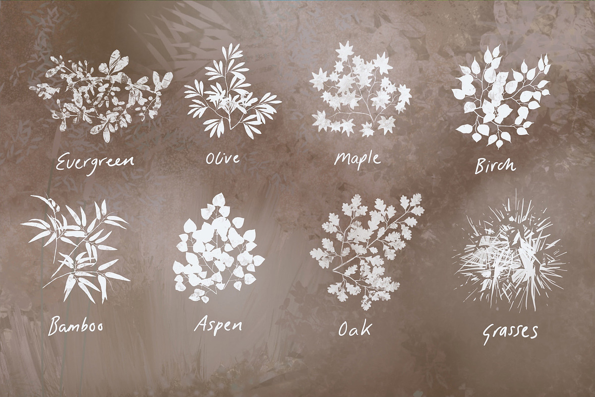 Nature Studio - Procreate Brushes, a Brush Add-On by Mels Brushes