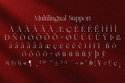Roken, a Serif Font by zaaintype (Thumbnail 10 of 10)