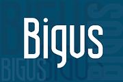 Bigus font family, a Sans Serif Font by vlad.berla (Thumbnail 2 of 7)