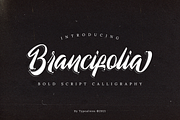 Brancifolia, a Script Font by ilhamtaro (Thumbnail 1 of 11)