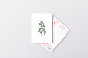 60 Watercolor Eucalyptus PNG Clipart, a Graphic by Graphicspixel (Thumbnail 6 of 10)