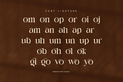 Comig Elegant Serif Font, a Serif Font by Perfectype (Thumbnail 8 of 8)