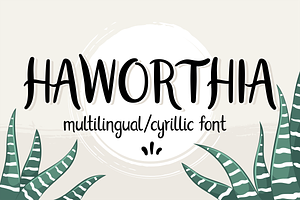 Haworthia. Multilingual Script Font., a Script Font by Cmeree