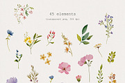 -30% Off Watercolor Wildflowers, an Object Illustration by bloomscape (Thumbnail 2 of 5)