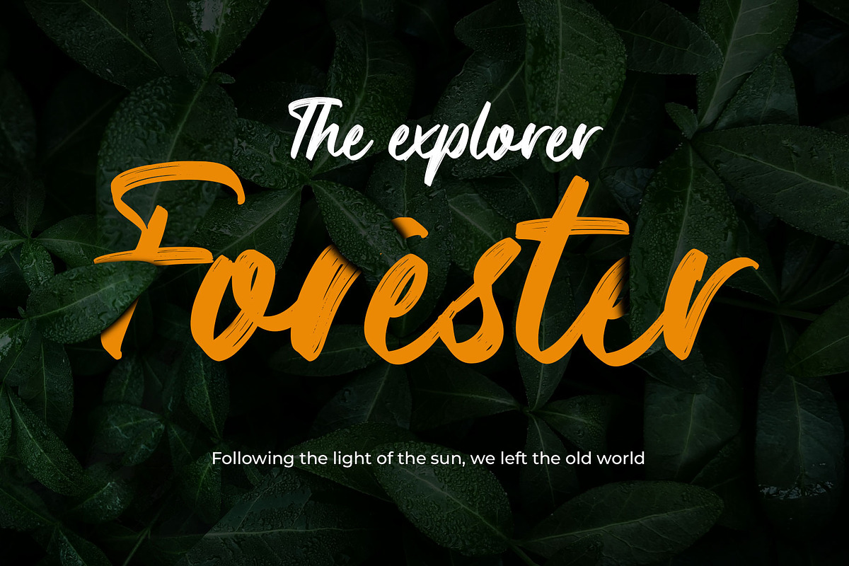 Antagon Brush Script Font, a Script Font by RantautypeStudio (Photo 9 of 15)