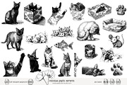 95 line art Cats clip art, an Animal Illustration by Poppy Lane Studio (Thumbnail 9 of 12)