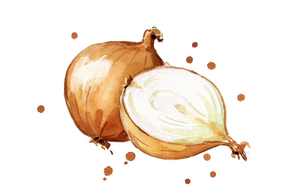 Set of white foods, watercolor, a Food Illustration by Kamenuka (Photo 2 of 4)