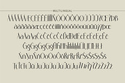 Velinne, a Serif Font by Kenrichi (Thumbnail 11 of 11)