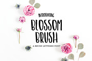 BLOSSOM BRUSH Font, a Sans Serif Font by Blush Font Co. (Thumbnail 1 of 3)