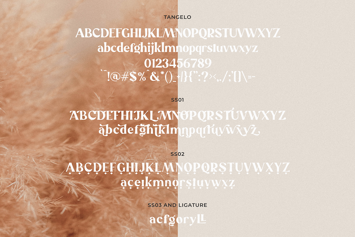 Tangelo - Retro Serif, a Serif Font by Sans & Sons (Photo 10 of 10)