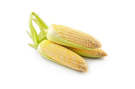 Fresh juicy yellow corn on a white, a Food & Drink Photo by ZinetroN