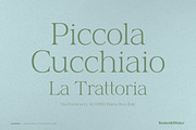 Charlene - An Elegant & Stylish Font, a Serif Font by Komet & Flicker (Thumbnail 12 of 16)