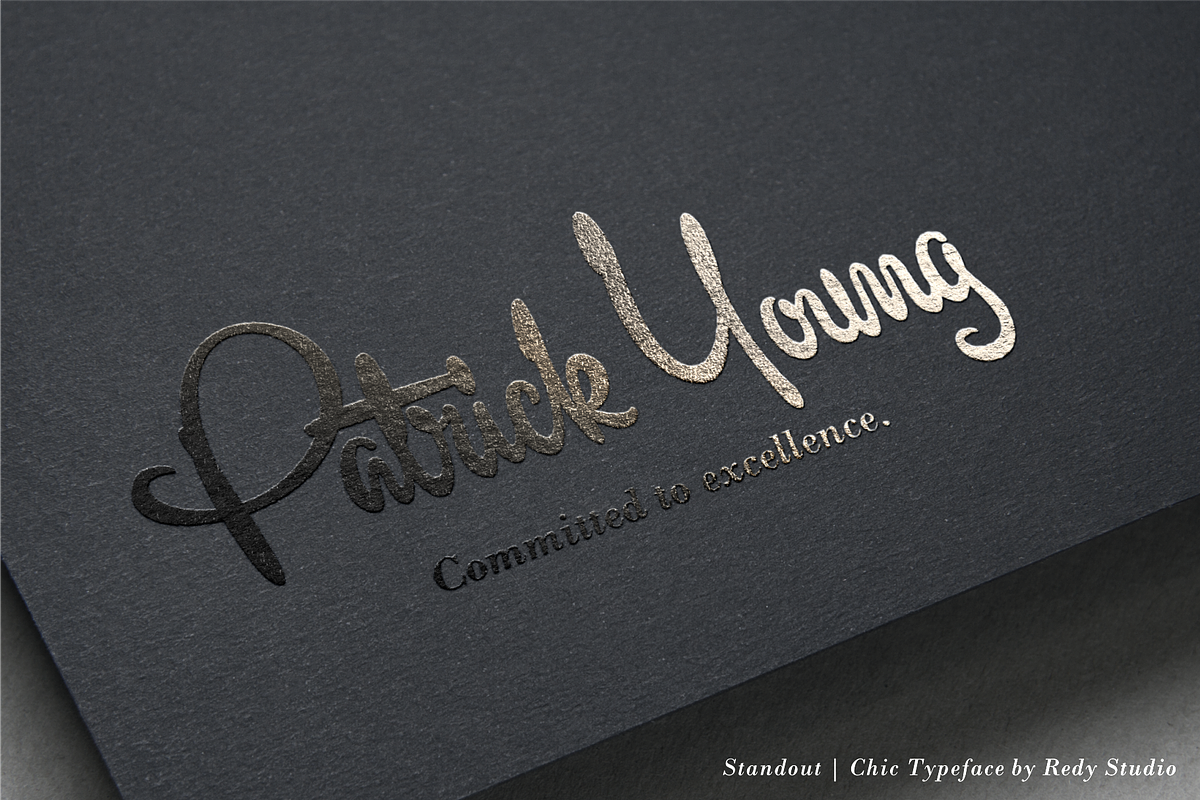 Standout – Chic Typeface, a Script Font by RedyStudio (Photo 9 of 13)