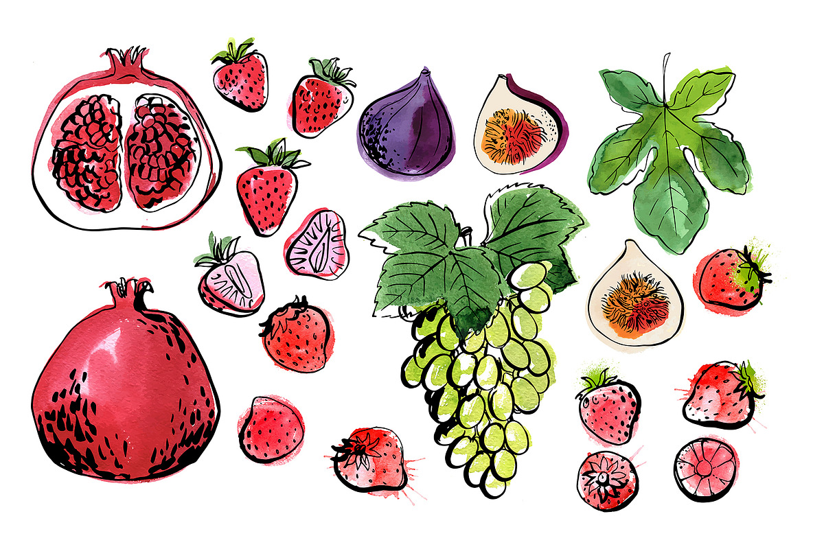 Fruits and berries vector sketch, a Food Illustration by irina.vaneeva (Photo 4 of 11)