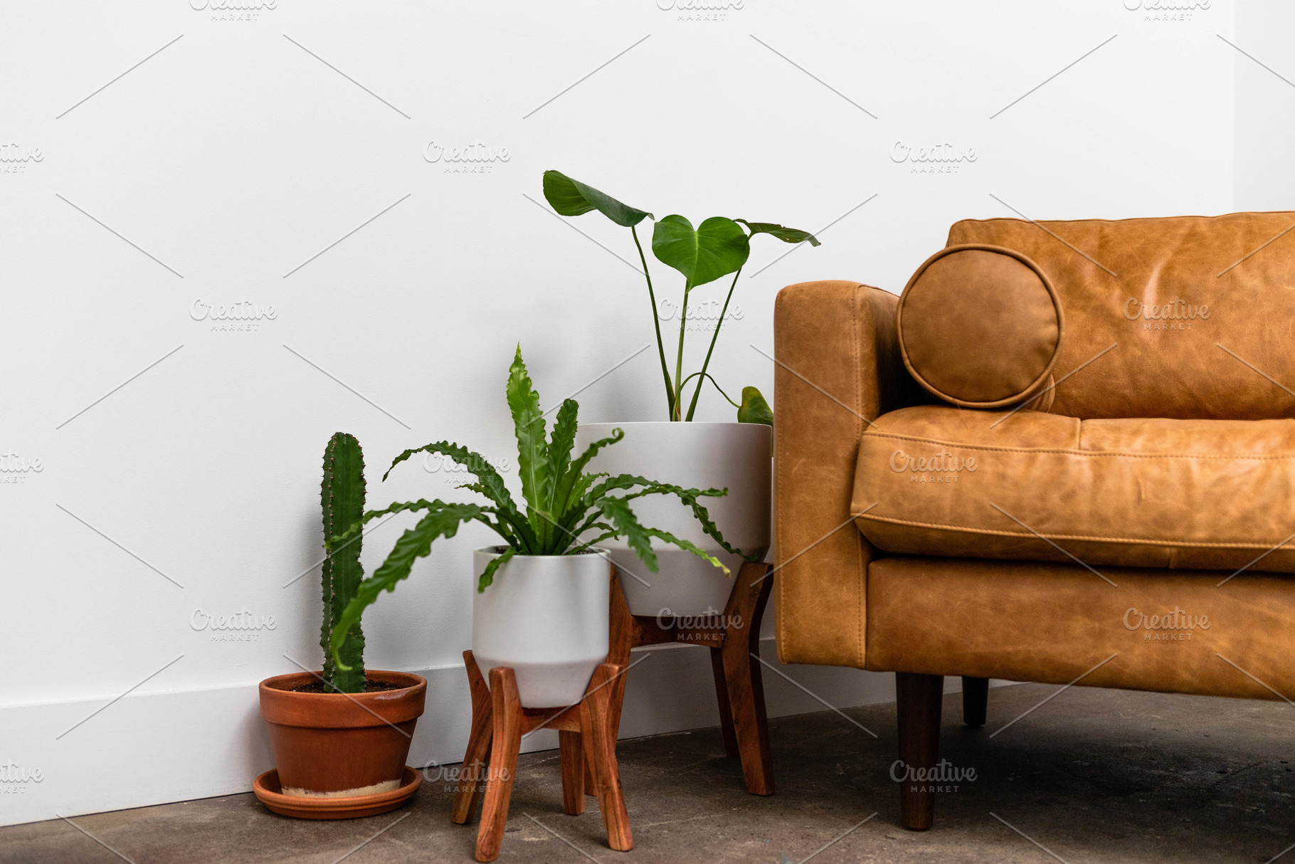 Plants and Sofa, an Architecture Photo by BRNK