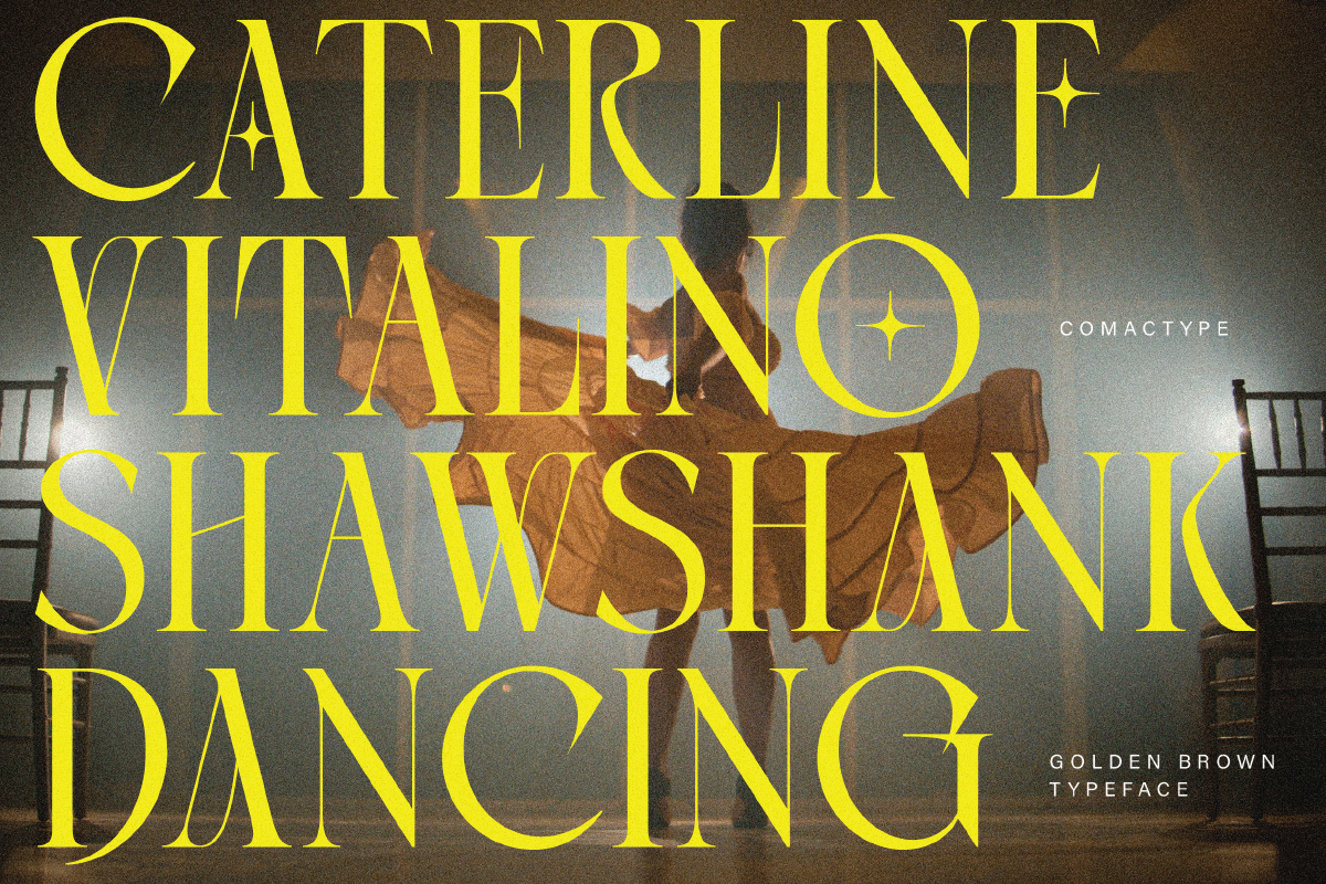 Golden Brown - Modern Serif Typeface, a Serif Font by Comactype Foundry (Photo 3 of 20)