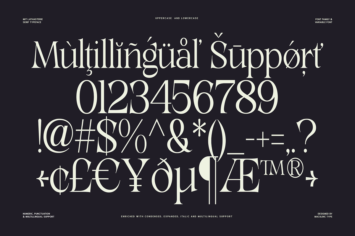 MIT Lathasterie, a Serif Font by Maculinc Type (Photo 14 of 15)