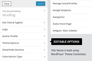 NiceBlog WordPress Blogging Theme, a WordPress Template by Dezinethemes (Thumbnail 4 of 4)