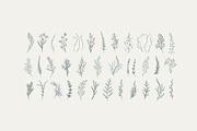 Winter Foliage collection, a Decorative Illustration by Merfin (Thumbnail 9 of 14)