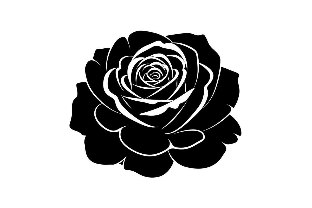 50 Black Rose Silhouette Vector Bund, an Illustration by Gaye Art (Photo 36 of 51)