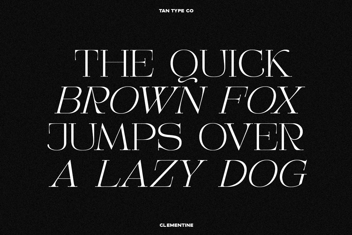 TAN - CLEMENTINE, a Serif Font by TanType (Photo 20 of 20)