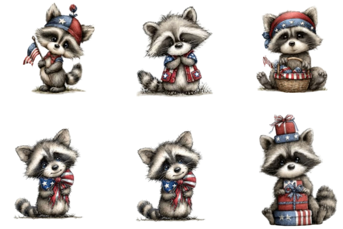 Patriotic Raccoon PNG Clipart, an Animal Illustration by Designking (Photo 3 of 5)