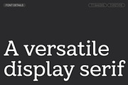 TT Bakers, a Serif Font by TypeType (Thumbnail 3 of 15)