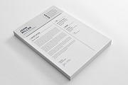 Resume CV (3 page), a Resume Template by Pxl_graphic (Thumbnail 7 of 7)