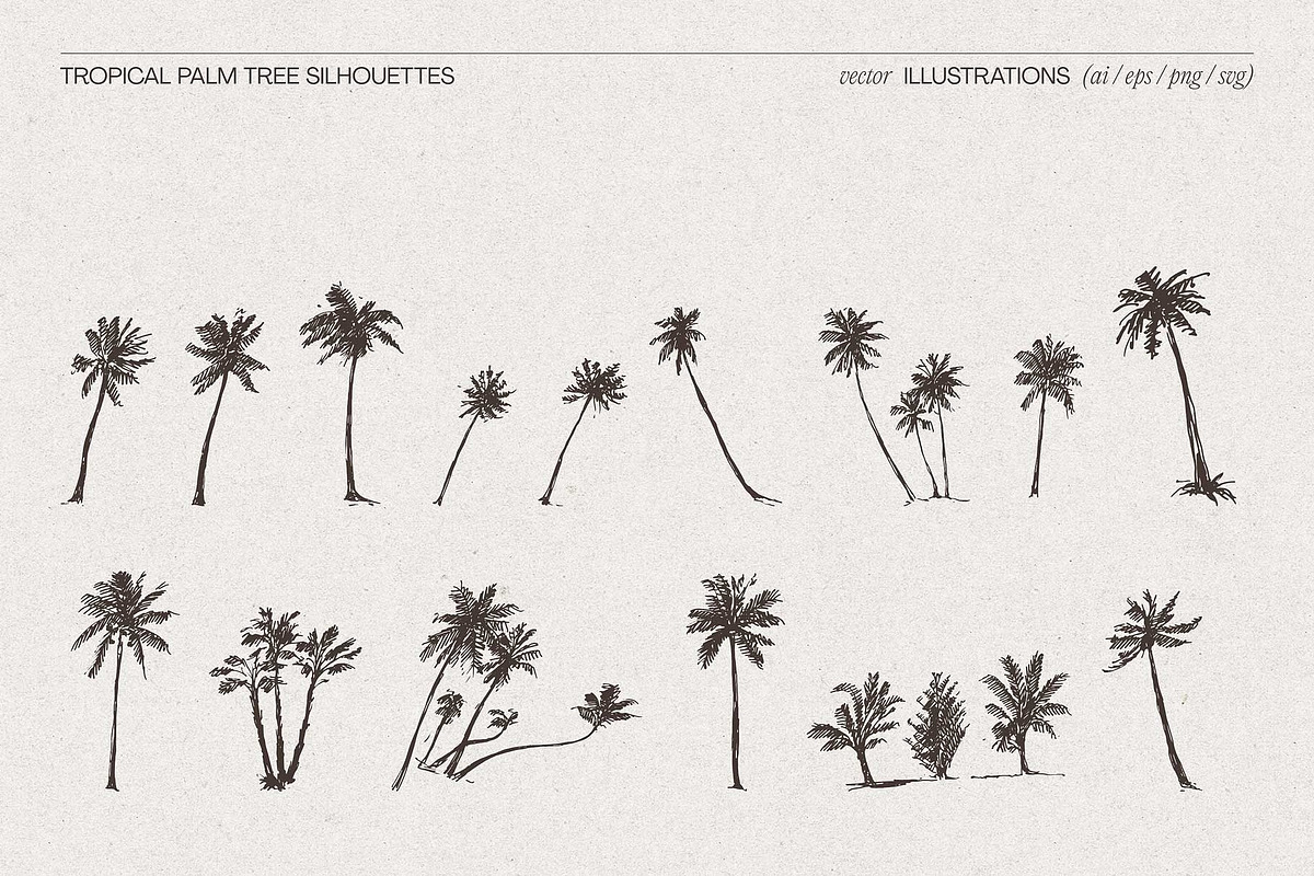 Tropical Palm Tree Silhouettes, an Object Illustration by TheMountBirdStudio (Photo 5 of 6)
