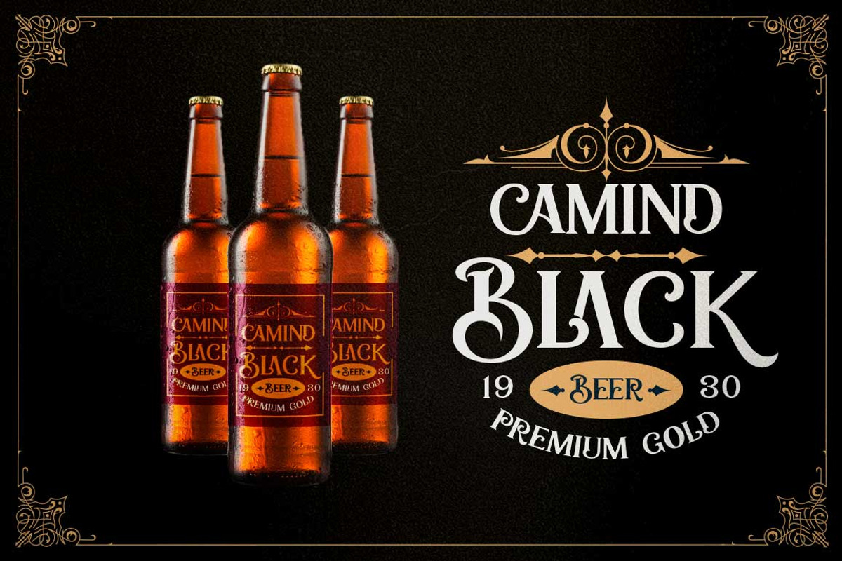 Zailander - Vintage Font + Logo Set, a Sans Serif Font by Dirtyline Studio (Photo 9 of 11)
