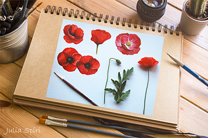 Poppies & Spring Flowers. Watercolor