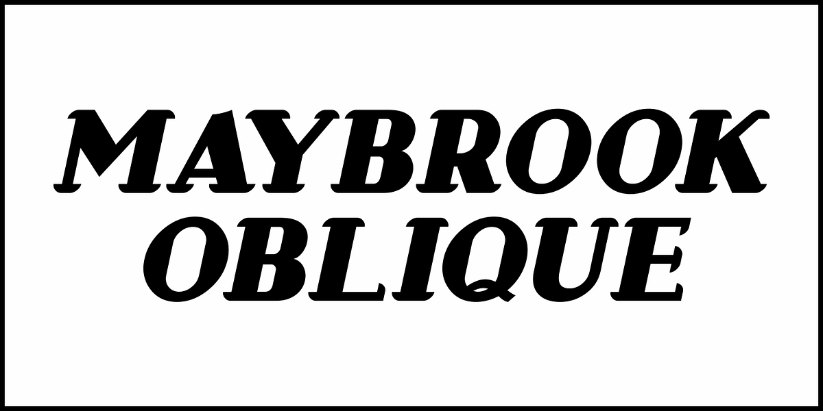 Maybrook JNL, a Font by Jeff Levine Fonts (Photo 4 of 5)