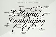 Barsela Calligraphy, a Script Font by Suza Studio (Thumbnail 7 of 12)