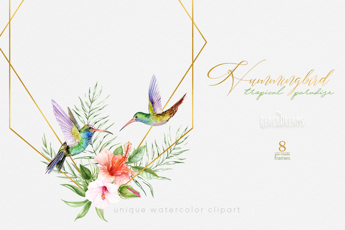 Hummingbird Birds Collection, an Illustration by ReachDreams (Photo 5 of 6)