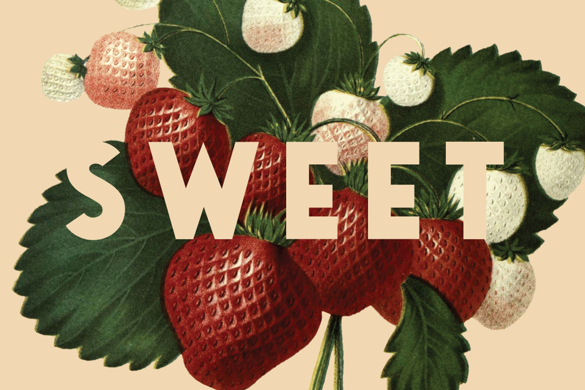 Saveur Sans, a Sans Serif Font by Arkitype (Photo 14 of 15)