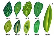Leaf Brushes Procreate, a Brush Add-On by Freya.art Illustrations (Thumbnail 4 of 6)