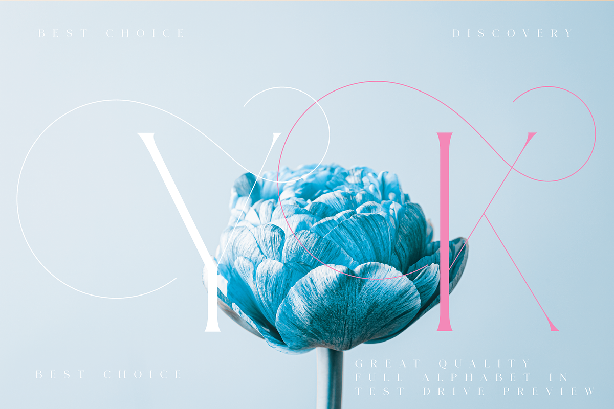 Veilan Serif Delicate font, a Serif Font by Andfonts (Photo 9 of 13)