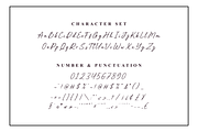 Bellany – Elegant Handwritten Script, a Script Font by dealitastudio (Thumbnail 7 of 8)