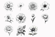 Watercolor Black White Flowers Clipa, an Illustration by Design Market (Thumbnail 4 of 4)