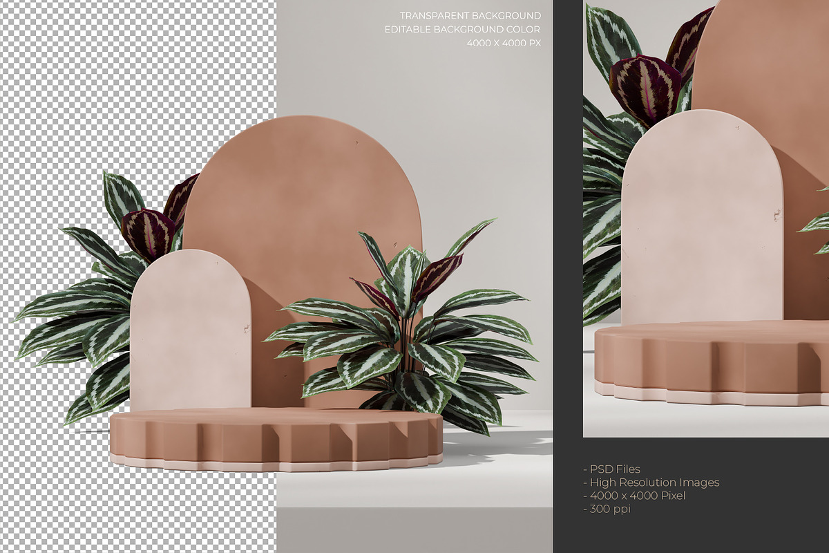 5 Podium with Transparent Background, a Background Graphic by faustudio (Photo 5 of 7)