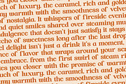 Hot Caramel Bold Serif Display, a Serif Font by timelesstype.co (Thumbnail 12 of 20)