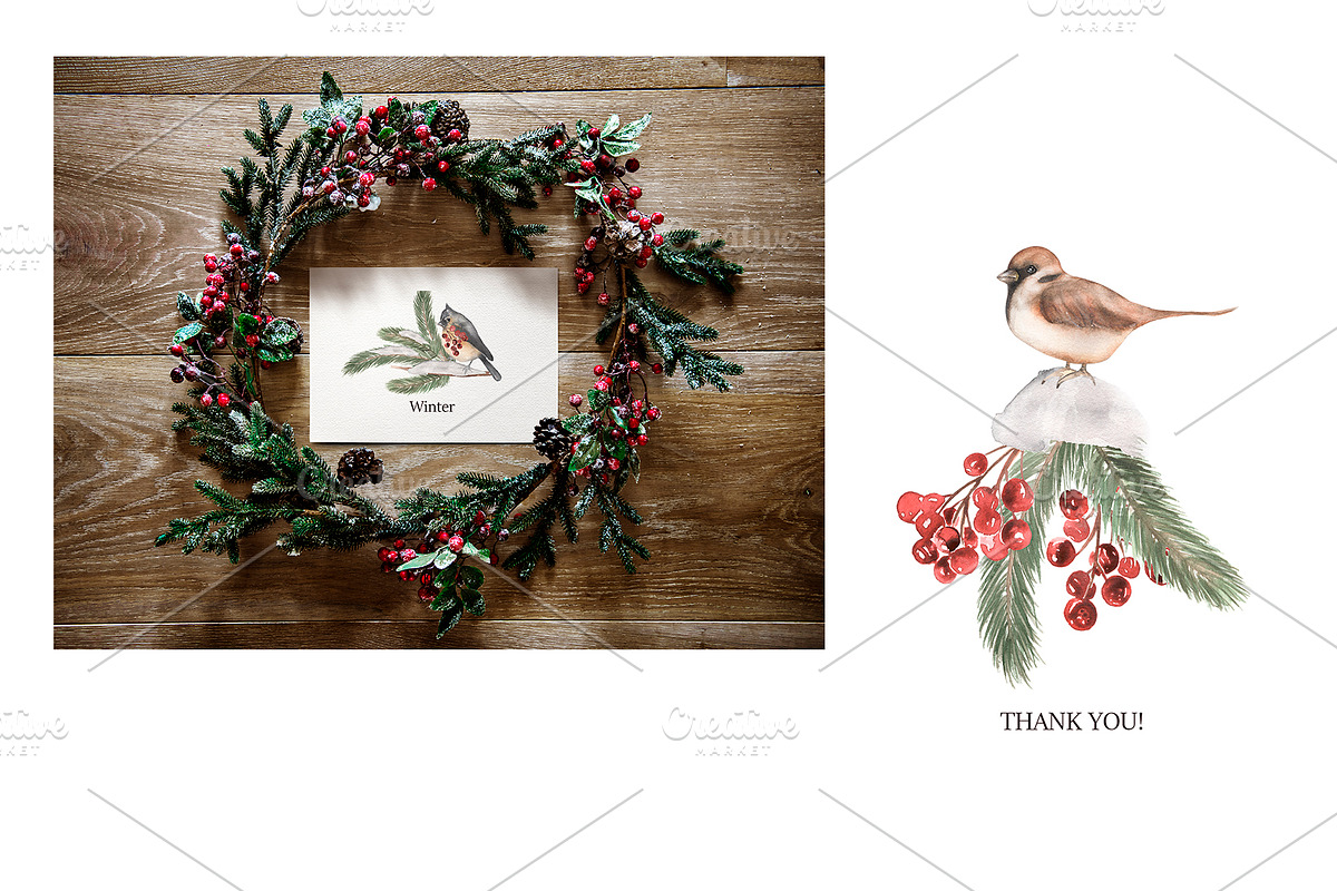 Watercolor Winter Birds Set, an Animal Illustration by MayaNavits (Photo 5 of 5)