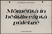 Lamna Rough, a Serif Font by Craft Supply Co. (Thumbnail 6 of 8)