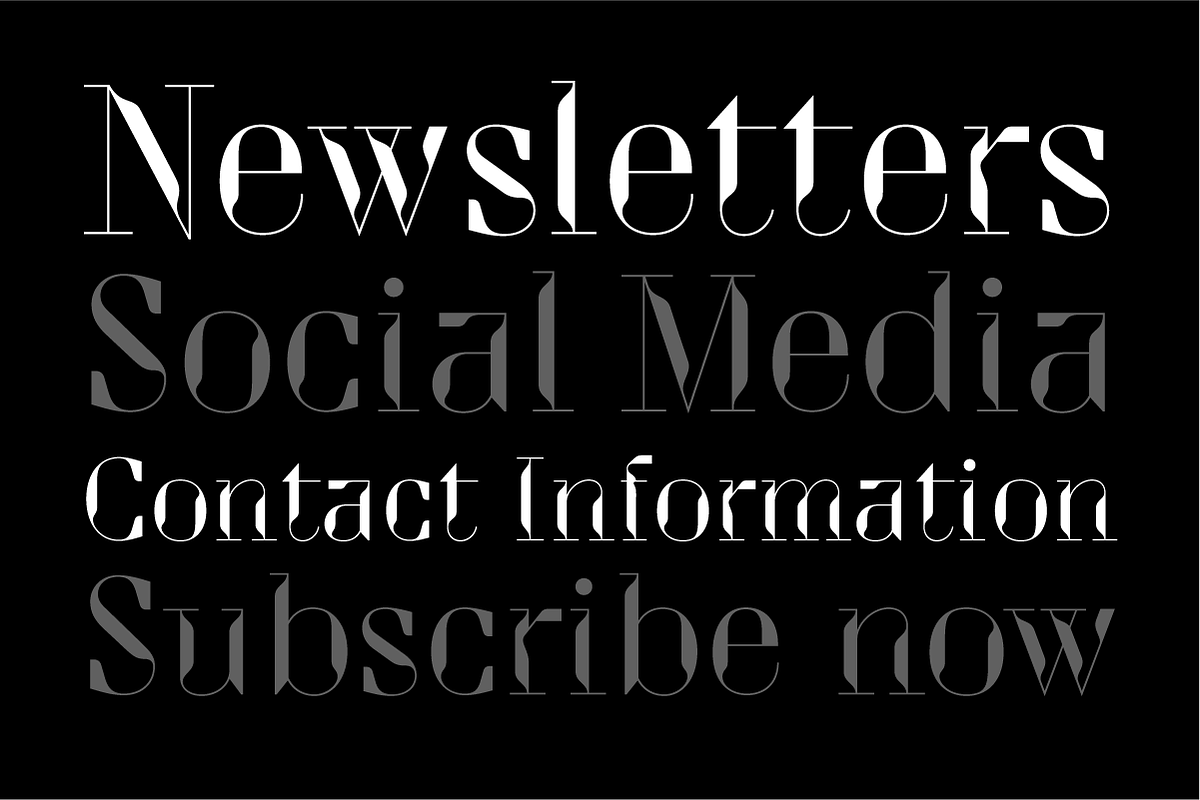 Drongo Font, a Serif Font by Yury Veselov (Photo 11 of 12)