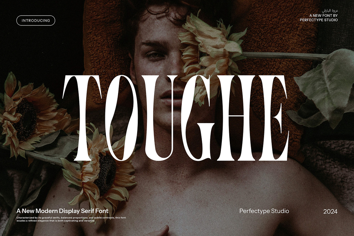 Toughe Unique Serif Font, a Serif Font by Perfectype (Photo 1 of 8)