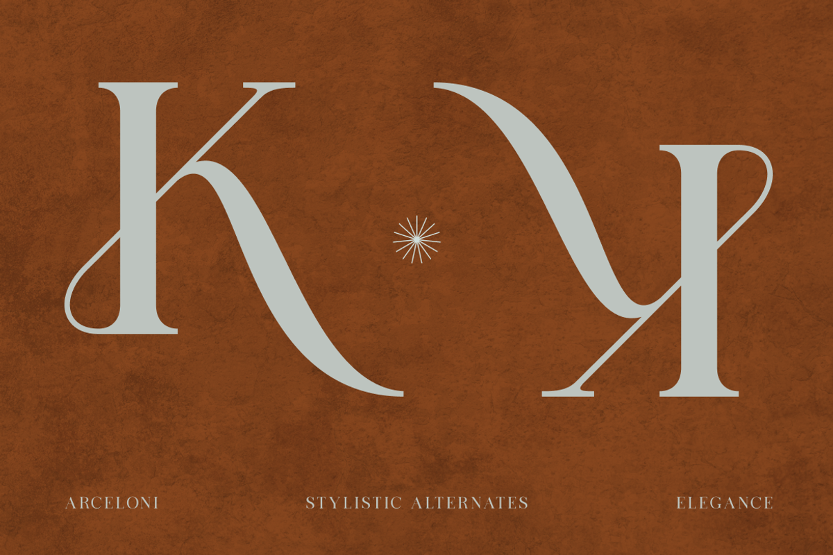 Arceloni Elegance Serif Font, a Serif Font by Vadovastd (Photo 9 of 11)