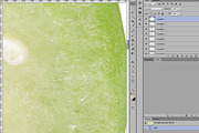 Tomatillo elements, an Object Graphic by Hortimages (Thumbnail 2 of 2)