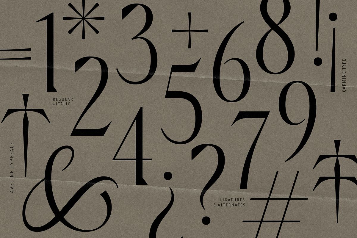 Aveline, Soft Serif with Ligatures, a Serif Font by CarmineType (Photo 24 of 28)